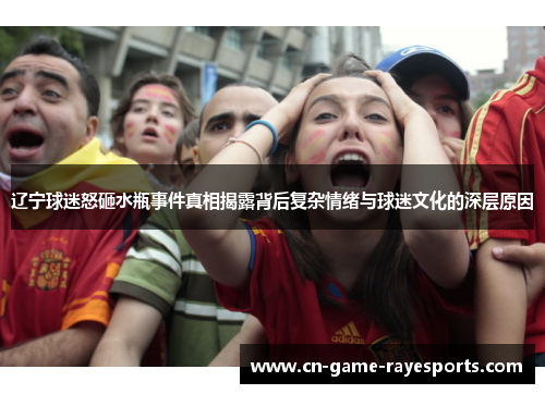 辽宁球迷怒砸水瓶事件真相揭露背后复杂情绪与球迷文化的深层原因