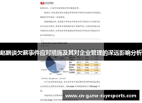 赵鹏谈欠薪事件应对措施及其对企业管理的深远影响分析