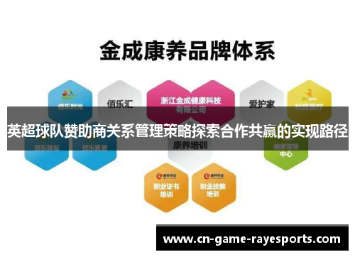 英超球队赞助商关系管理策略探索合作共赢的实现路径